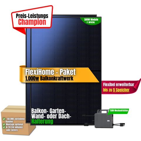 FlexiHome 1000W Balkonkraftwerk ( 2 x 500w Module + 800w TSUN Wechselrichter)