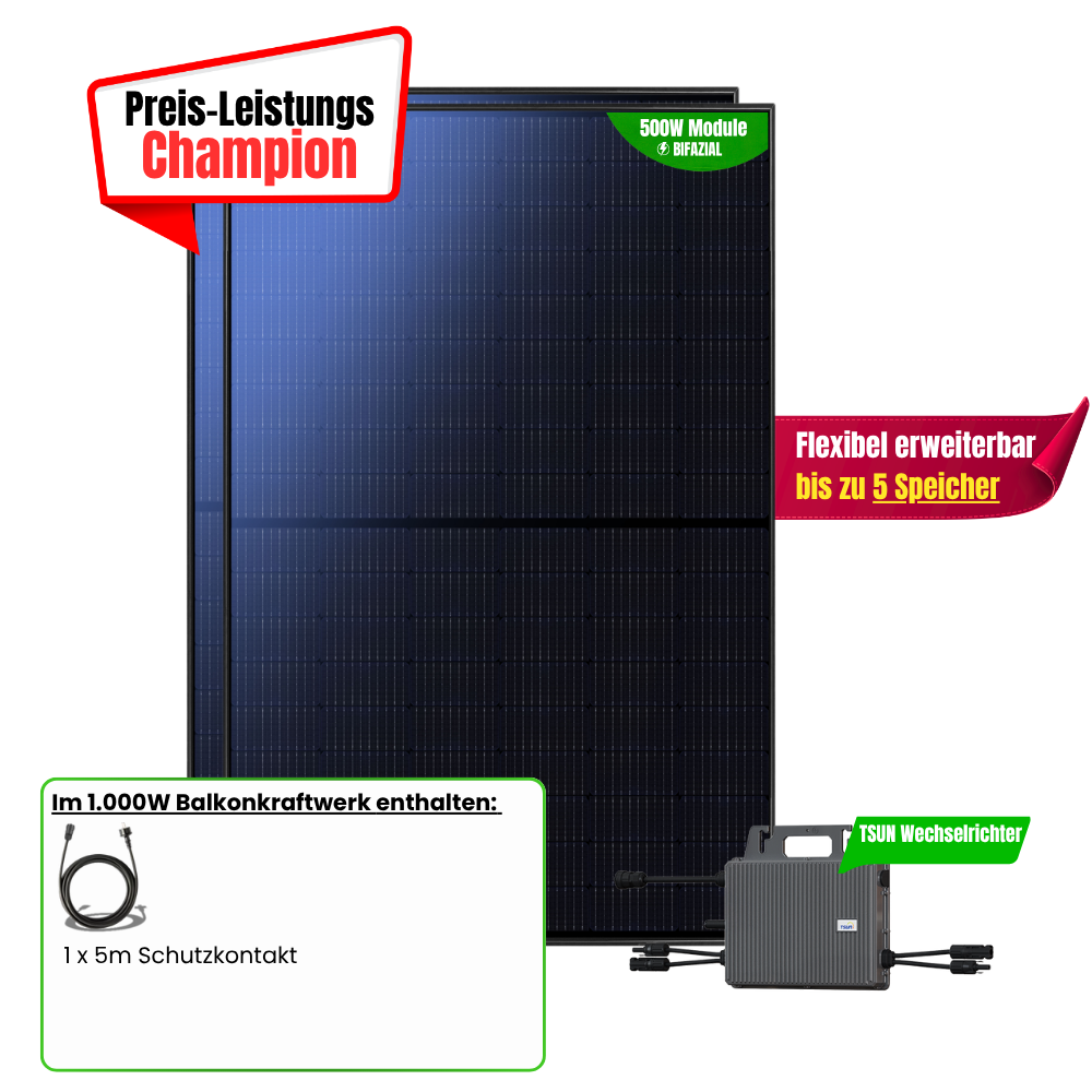 FlexiHome 1000W Balkonkraftwerk ( 2 x 500w Module + 800w TSUN Wechselrichter)