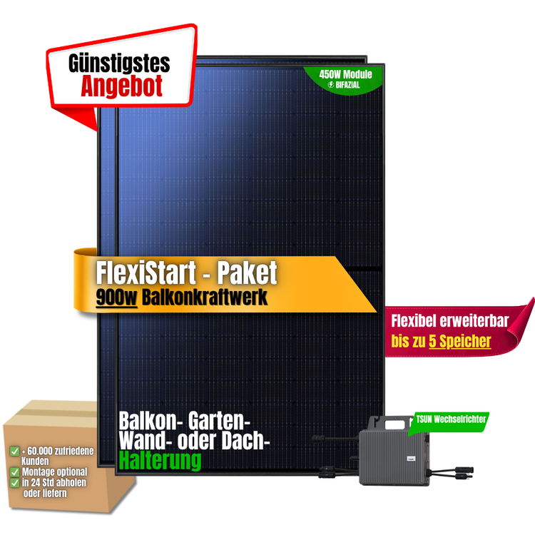 FlexiStart 900W Balkonkraftwerk ( 2 x 450w Module + 800w TSUN Wechselrichter)